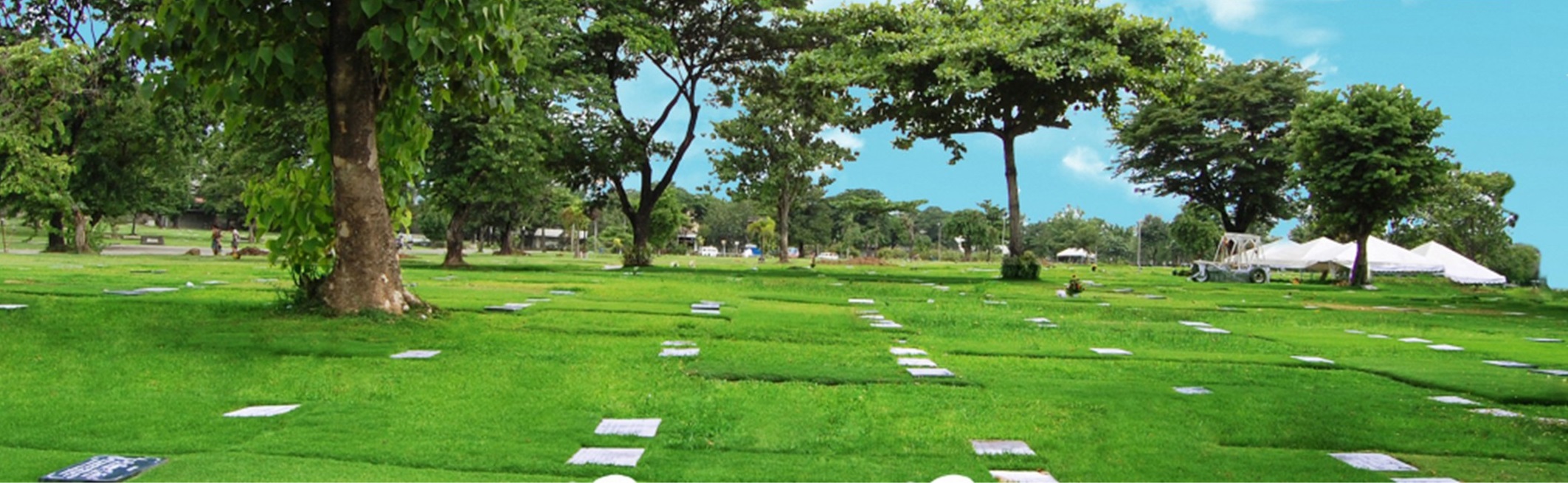 Lawn Lot